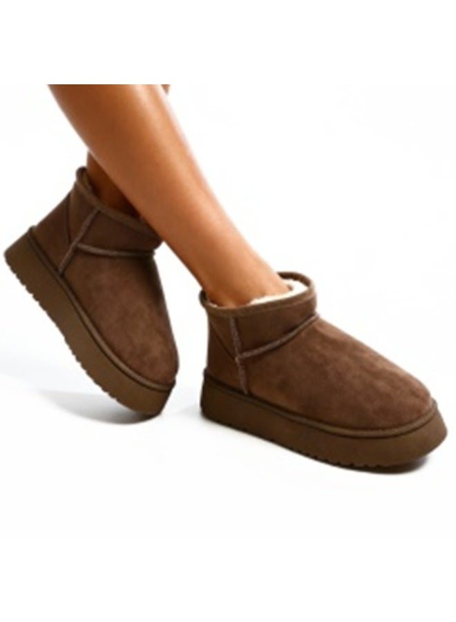 Club Aldo Winter Ankle boot